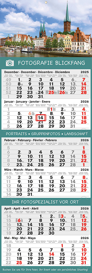 Datoline - 6-Monatsplaner DL 6.7